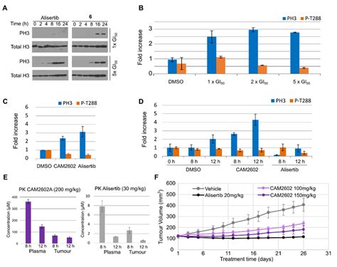 In Vitro And In Vivo Characterisation Of CAM2602 And Analogues A