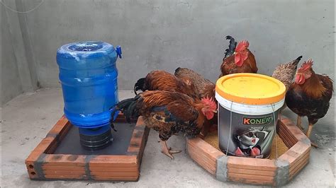 How To Make A Tray To Feed The Chicken Very Simple Without Losing