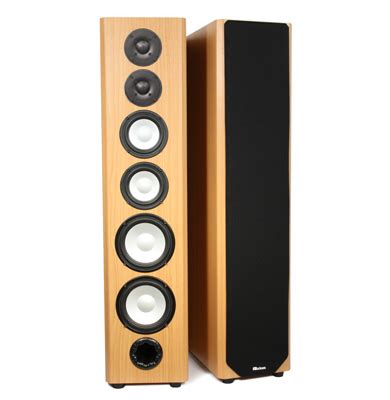 M80 Floorstanding Speakers | Axiom Audio