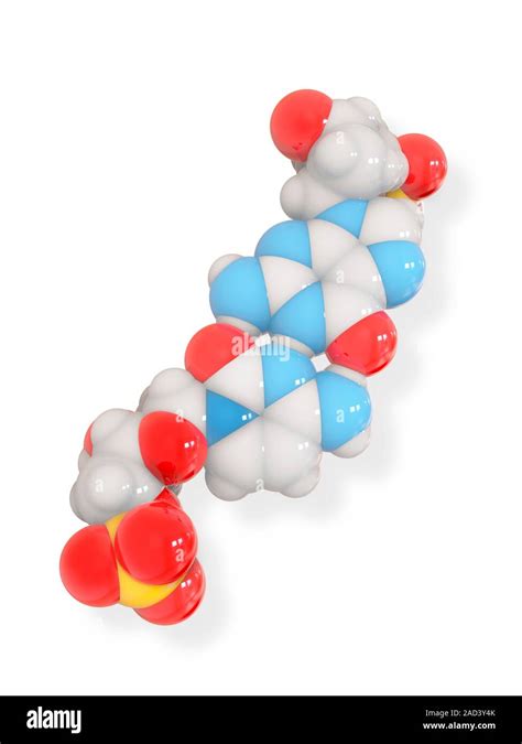 Cytosine-guanine DNA base pair. Illustration of a molecular model of the bonding of cytosine ...