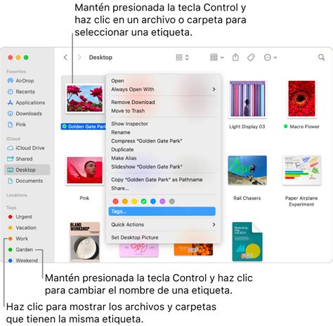 Utilizar etiquetas para organizar archivos en la Mac Soporte técnico