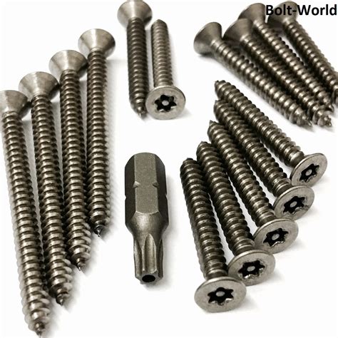 A Stainless Steel Torx Pin Lobe Button Head Self Tapping Scurity