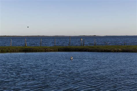 Two Floating Sculptures Installed At Rumfs Rutgers University Marine