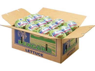 Bengard Ranch Cello Wrap - Branded - Bengard Ranch