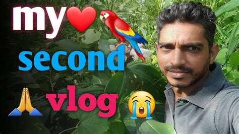 Part 2 My Frist Vlog My Frist Vlog 2022 My First Blog My First