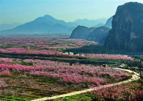 Popular Natural Scenic Spots Series I Stopping To Smell The Roses