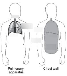 Breathing Apparatus Diagram | Quizlet