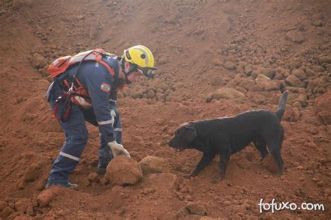 C Es Ajudam Nas Buscas Por V Timas Em Brumadinho Not Cias