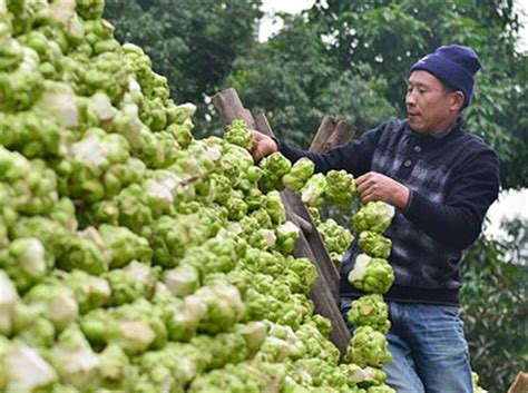 「腳踩出來」的食物不衛生？那可不一定！這些食物或許你全吃過 每日頭條