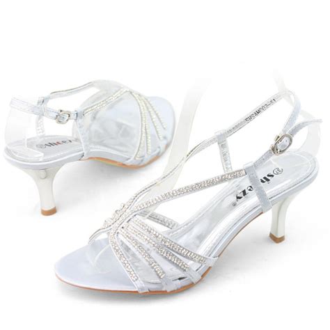 Low Heel Prom Shoes Silver Wedding Shoes High Heels Kitten Heel