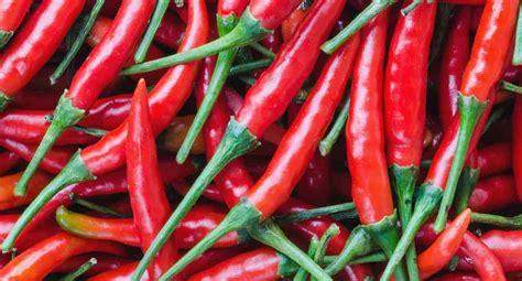 Nutrient Packed Heat The Daily Value Of Cayenne Pepper Magic Plant Farms