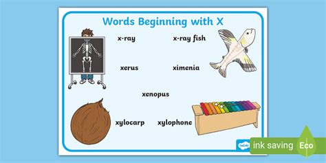 Words Beginning With X Word Mat Teacher Made Twinkl