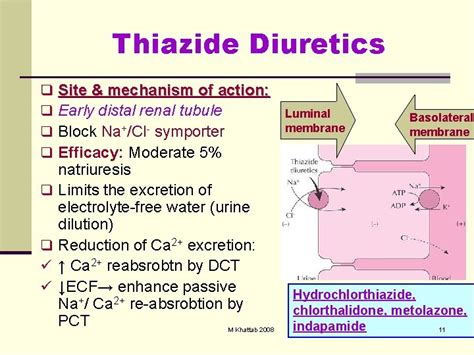 Diuretics From Diuresis To Clinical Use Prof Dr