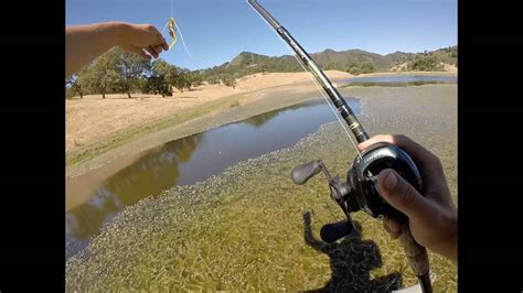 Top Water Frog Fishing Youtube