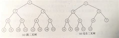 二叉树的概念 Acwing