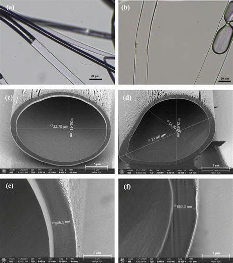 Morphological Structures Of The Kapok Fibers A Longitudinal Views Of