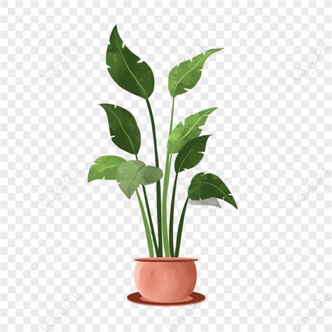 Potted Green Plant Png Plant Pots Planta Verde Png Transparent