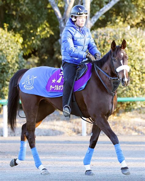 【チューリップ賞】サークルオブライフ、3冠牝馬アパパネと同じローテで桜花賞へ 国枝調教師「使って80％くらいに」 Umatoku 馬トク