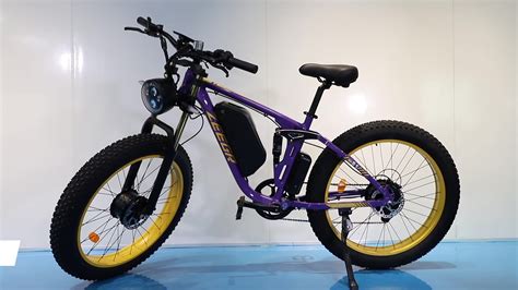 Custom 48v 22 4ah 26 Inch Ebike 2000w 1000w Zeegr Mountainou Electric