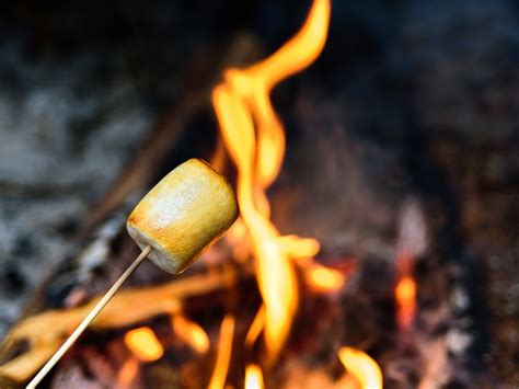 空室検索 暖炉で楽しむ「焼きマシュマロ」付きプラン★【和洋会席御膳】夕食は「みちのく日高見牛」のすき焼き付