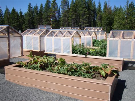 danger garden: Mini-greenhouses or raised beds? Both!