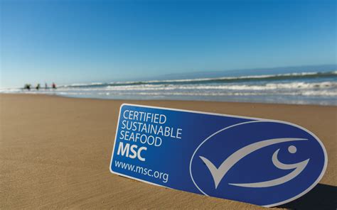 Msc Sustainable Seafood Label Sarah Graham Food