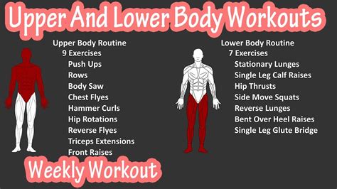 Weekly Upper And Lower Split Workout, Exercise Routine With Dumbbells ...