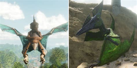 Complete Guide To Taming Pteranodon In Ark Survival Ascended