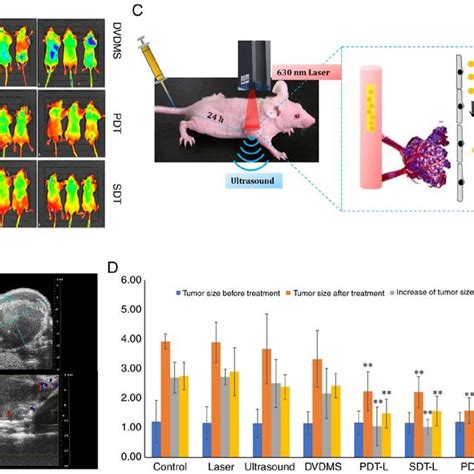 In Vivo Antitumor Effects Of Dvdms Mediated Pdt And Sdt In A Xenograft