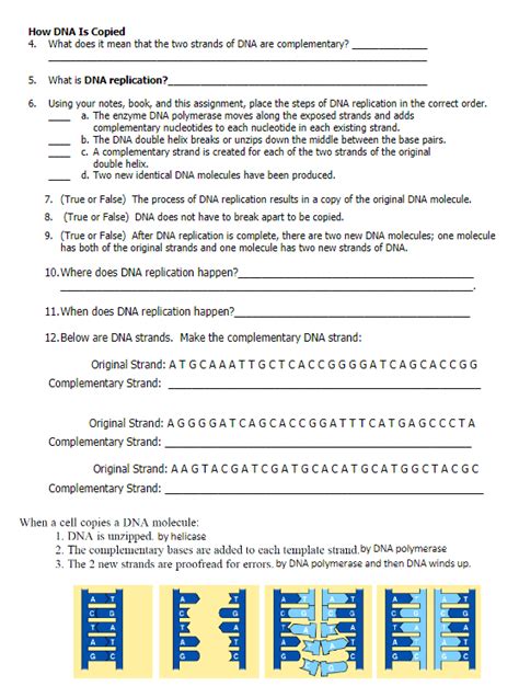 Unravelling The Mystery Of Dna With The Best 10 Dna Replication Worksheets The Teach Simple Blog