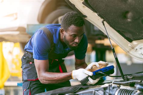 Devenir M Canicien Auto Missions Salaire Formations Edp