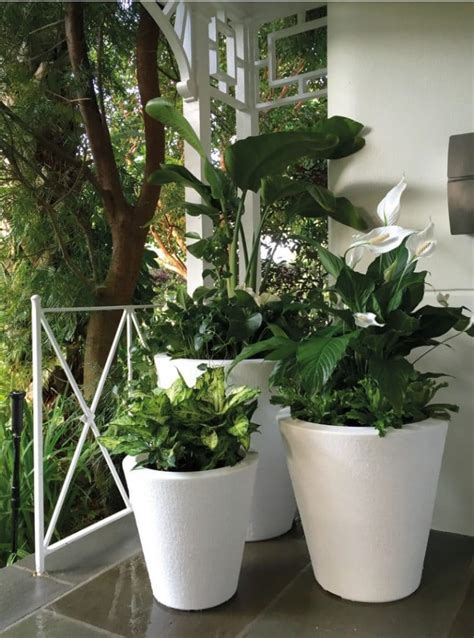 15 Best Indoor Self Watering Planters That Really Work - Smart Garden Guide