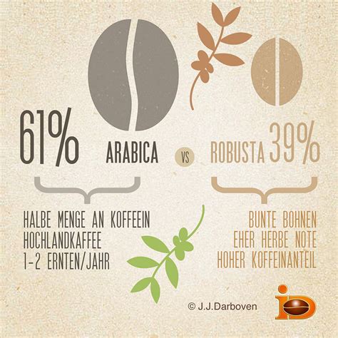 Choosing the Right Coffee Beans - The Coffee Blog