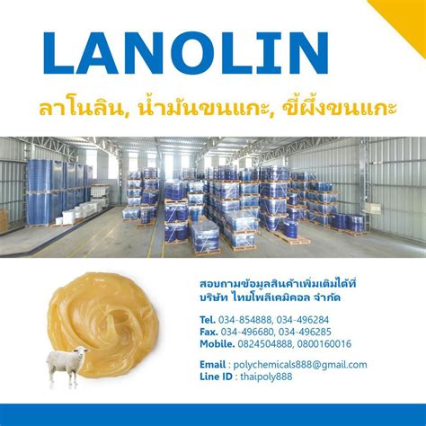 ลาโนลิน Lanolin ลาโนลีน น้ำมันขนแกะ ขี้ผึ้งขนแกะ น้ำมันสกัดจากขน