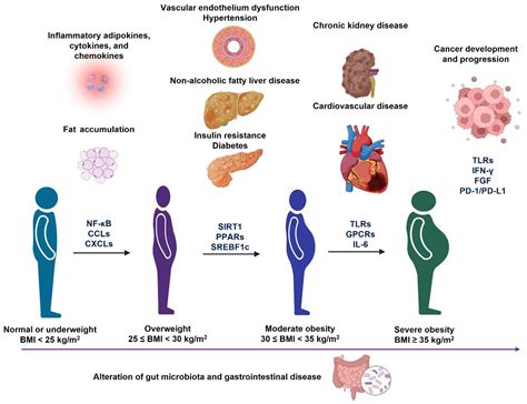 Healthcare Free Full Text The Related Metabolic Diseases And