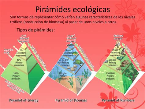 Piramides Ecologicas Junio 2016