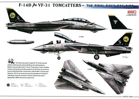 F 14 Tomcat VF 31 Final Days CAG Decal Review By Rodger Kelly Jasmine