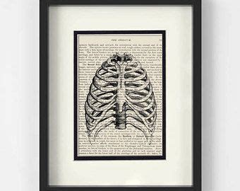 Radiology Art | Etsy | Art, Art drawings, Etsy