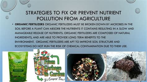 Ppt Eutrophication Nutrient Pollution Solutions Review Powerpoint