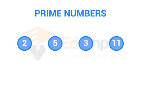 What is a Prime Number Mean in Math?