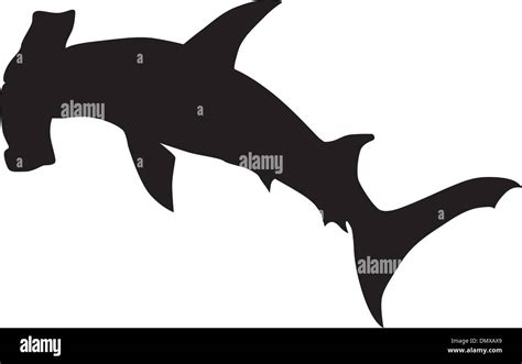 Vector Hammerhead Shark Stock Vector Image Art Alamy