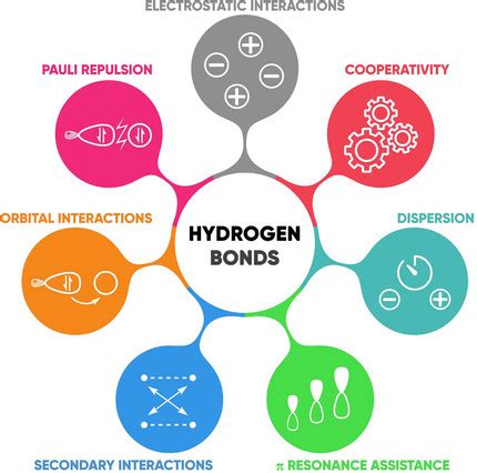 Hydrogen Bond