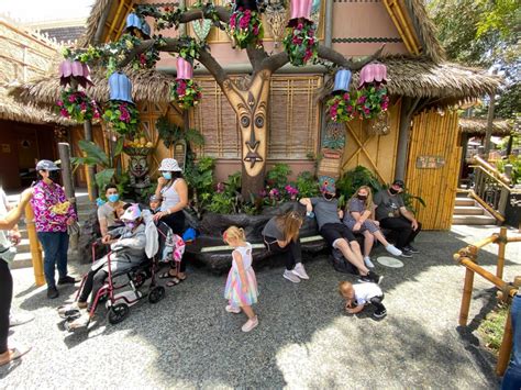 PHOTOS, VIDEO: Walt Disney's Enchanted Tiki Room Reopens at Disneyland ...