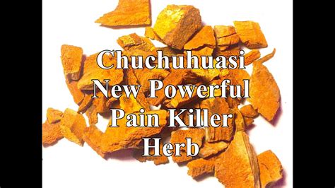 Chuchuhuasi A New Pain Killing Herb Youtube