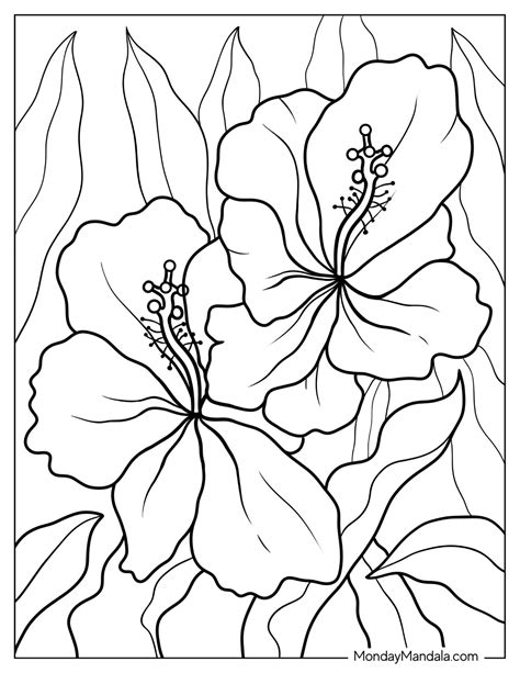 53 Flower Coloring Pages (Free PDF Printables) - Worksheets Library