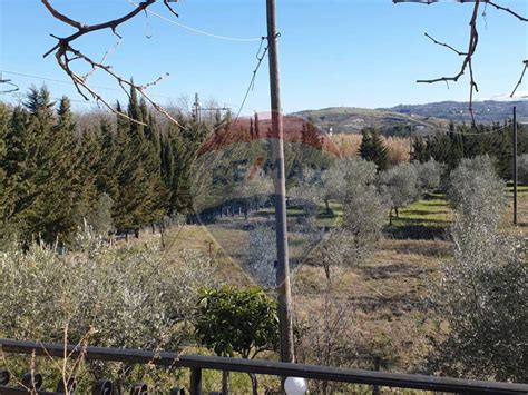 Terreno Agricolo Castiglione A Casauria Rif 102437614 Immobiliare It