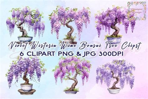 Wisteria Bonsai Tree Watercolor Clipart Graphic By Drumpee Design