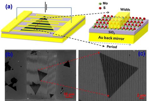 The schematic (a) and the scanning electron micrograph images (b) and ...