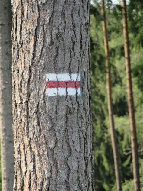 Oznaczenia szlaków górskich jak interpretować kolory i inne