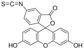 Fluorescein isothiocyanate - Alchetron, the free social encyclopedia